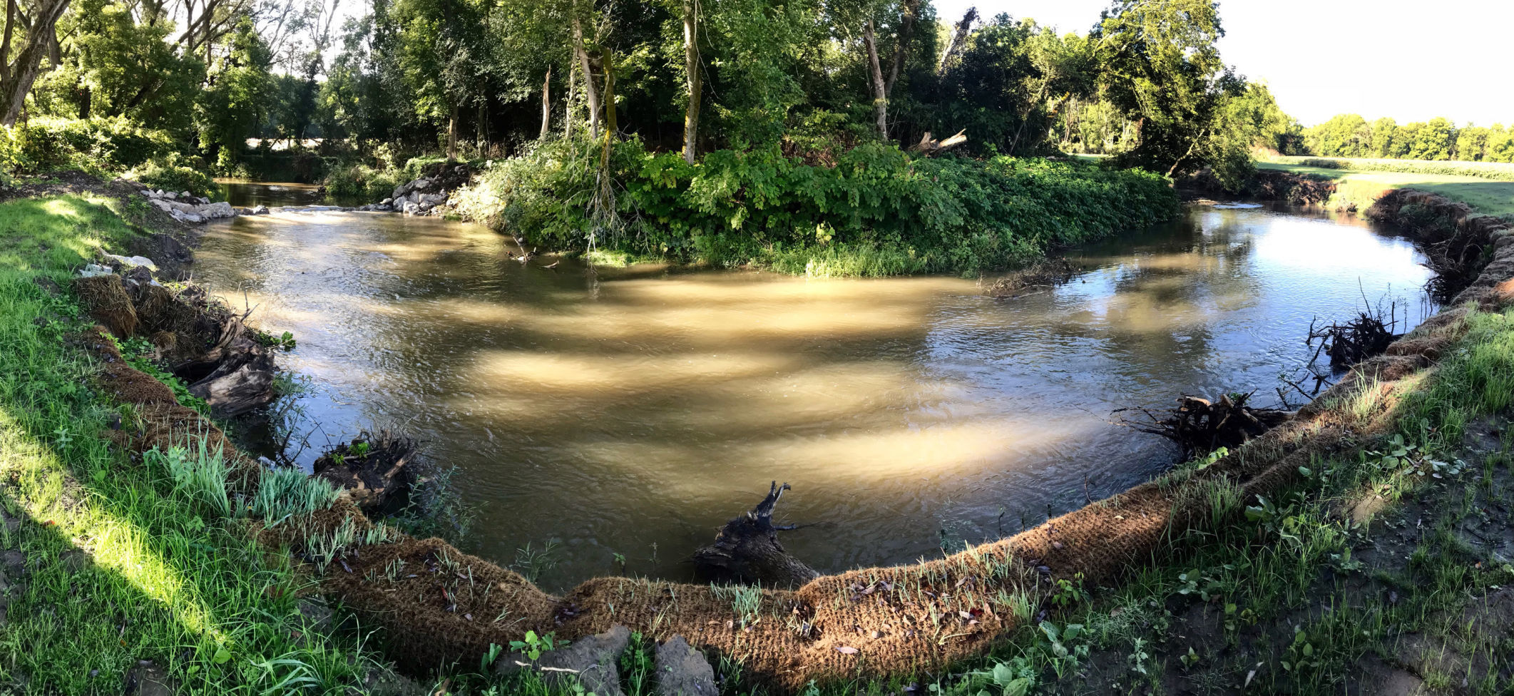 Dutch Hollow 5